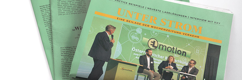 Bild Dummy Vekehr Zeitung